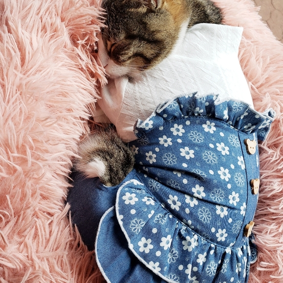 Handmade Modernist Taxco Tiger's Eye Ring - Picture 10 of 10